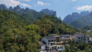 Un área residencial con casas modernas rodeadas de un bosque denso y montañas.