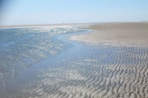A beach with a clear sky and calm water reflecting sunlight. - Country House Moor and Sea (Ostgroßefehn)