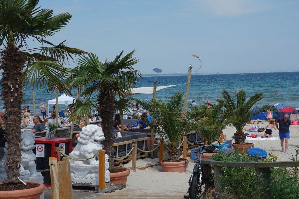 Un espace aménagé au bord de la plage, avec des sièges, des palmiers et une vue sur la mer.