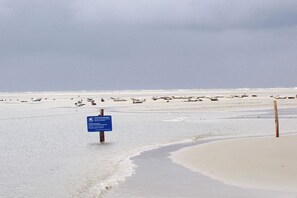 Ein Strand mit einem Wegweiser und einer Sandküste.