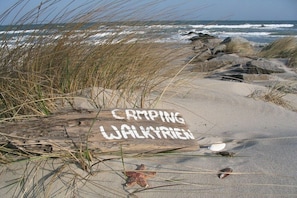 Ein Strand mit einem Holzschild, auf dem 'Camping Walkyrien' steht, und Muscheln sowie ein Seestern im Sand.