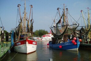 Ein Hafen mit mehreren vertäuten Fischerbooten, darunter ein rot-weißes Boot mit der Aufschrift 'FED.9' und ein blaues Boot mit der Aufschrift 'FED1'.