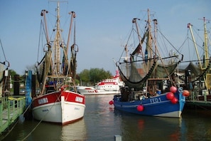 A harbor with several fishing boats docked, including a red and white boat labeled 'FED.9' and a blue boat labeled 'FED1'. - Holiday apartment HEIN on the North Sea dike (Butjadingen)