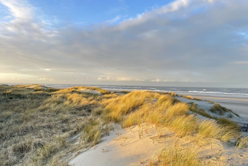 A beach with sand dunes and a view of the ocean.