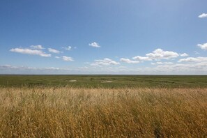 Una extensa pradera bajo un cielo despejado.