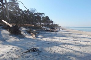 A snowy beach with trees and a clear sky. - Baltic Sea House Sea Wonders (Born)