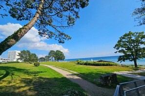 Un parc avec un sentier qui mène à un plan d’eau, entouré d’arbres et de verdure.