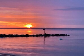 Ruhige Wasserfläche bei Sonnenuntergang, ein Schwan und eine kleine Insel mit Felsen.