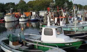 Un port de plaisance où sont amarrés divers bateaux, dont un bateau vert portant l’inscription « TIM 1a » et un bateau blanc avec l’inscription « NIE 33 » sur le côté.