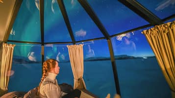 Una habitación con un ventanal que ofrece vistas del cielo nocturno.