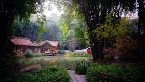 Ekopelancongan