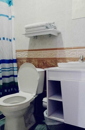 Un bany amb vàter, un lavabo i un suport per a tovalloles.