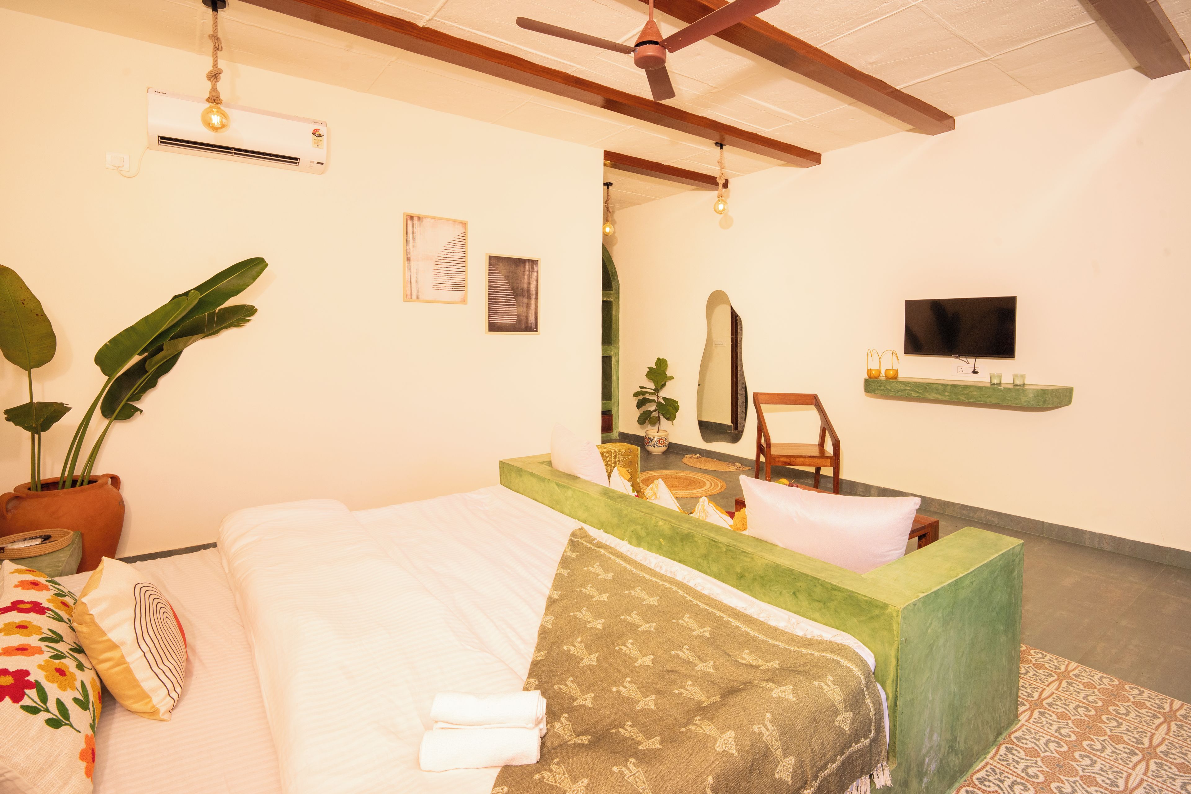 A hotel room with a bed, a television, a potted plant, and a mirror.
