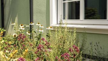 A garden with various flowers and plants in front of a building with a window.