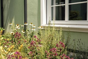 A garden with various flowers and plants in front of a building with a window. - Das Winzer (Wien)