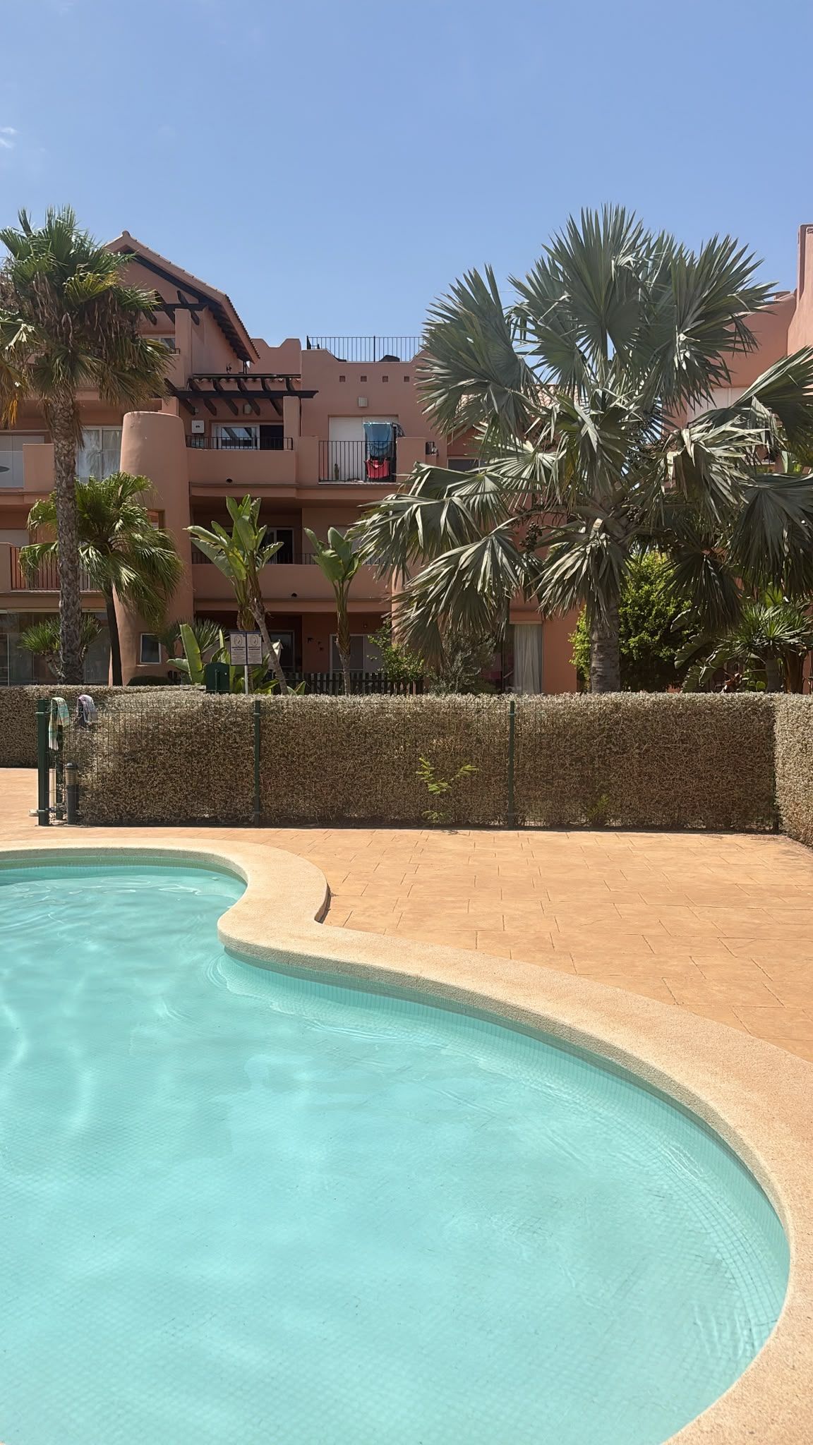 A swimming pool with a curved edge, surrounded by a hedge and palm trees. In the background, there is a multi-story building with balconies and a flat roof.