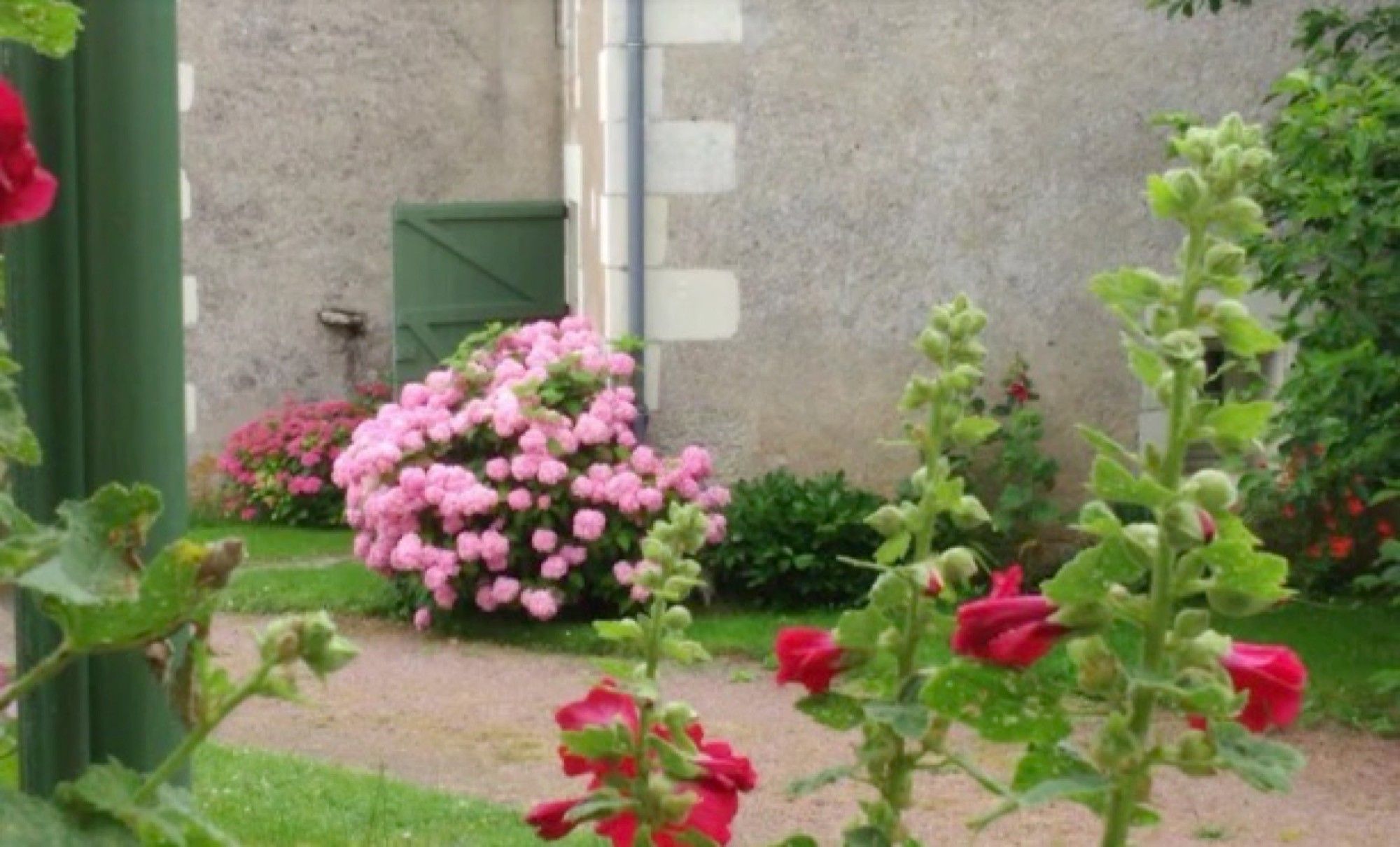Un jardin avec des fleurs roses et une structure verte.