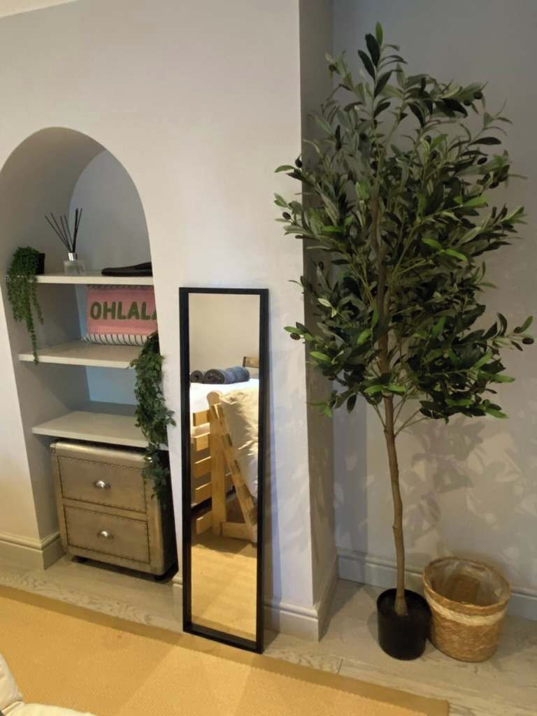 A room with a mirror, a potted plant, a bed, and a shelf with a sign.