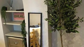 A room with a mirror, a potted plant, a bed, and a shelf with a sign.