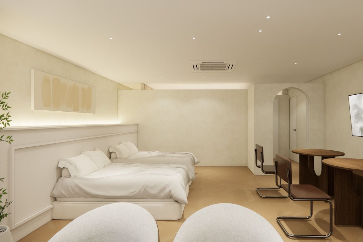 A modern hotel room with a bed, two chairs, a small table, a TV, and a plant.