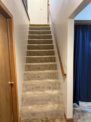 A carpeted staircase with a wooden handrail, a closed wooden door, and a blue curtain.