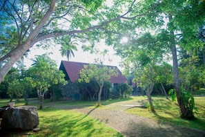 A building with a red roof surrounded by trees and a paved pathway. - Celestia Ayurveda Resort (Bentota)