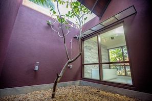 A small tree in a planter with pebbles, a window with a view of greenery, and a purple wall. - Celestia Ayurveda Resort (Bentota)