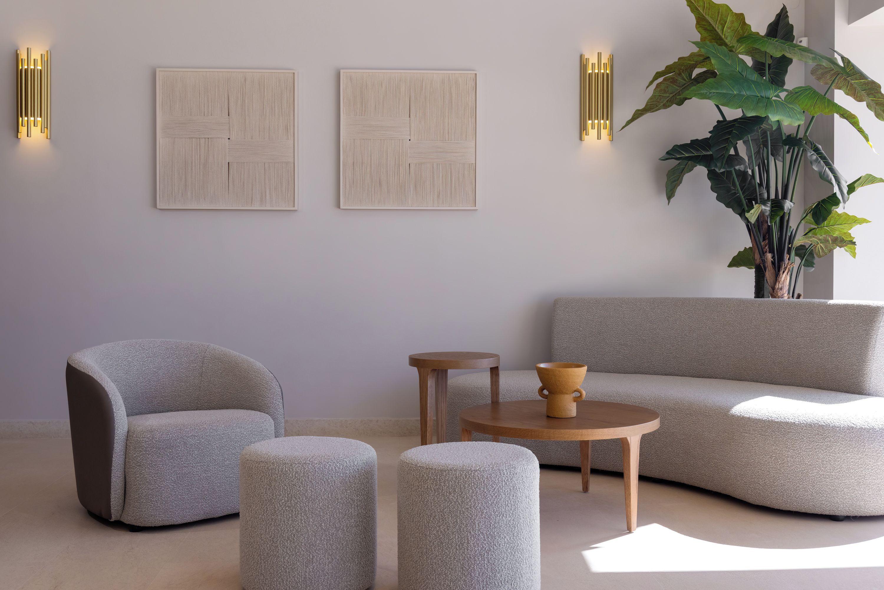 A modern living room with a grey sofa, two armchairs, a coffee table, and a large plant.