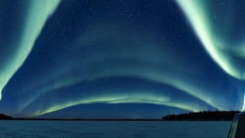 A snow-covered landscape with a clear night sky and the Northern Lights.