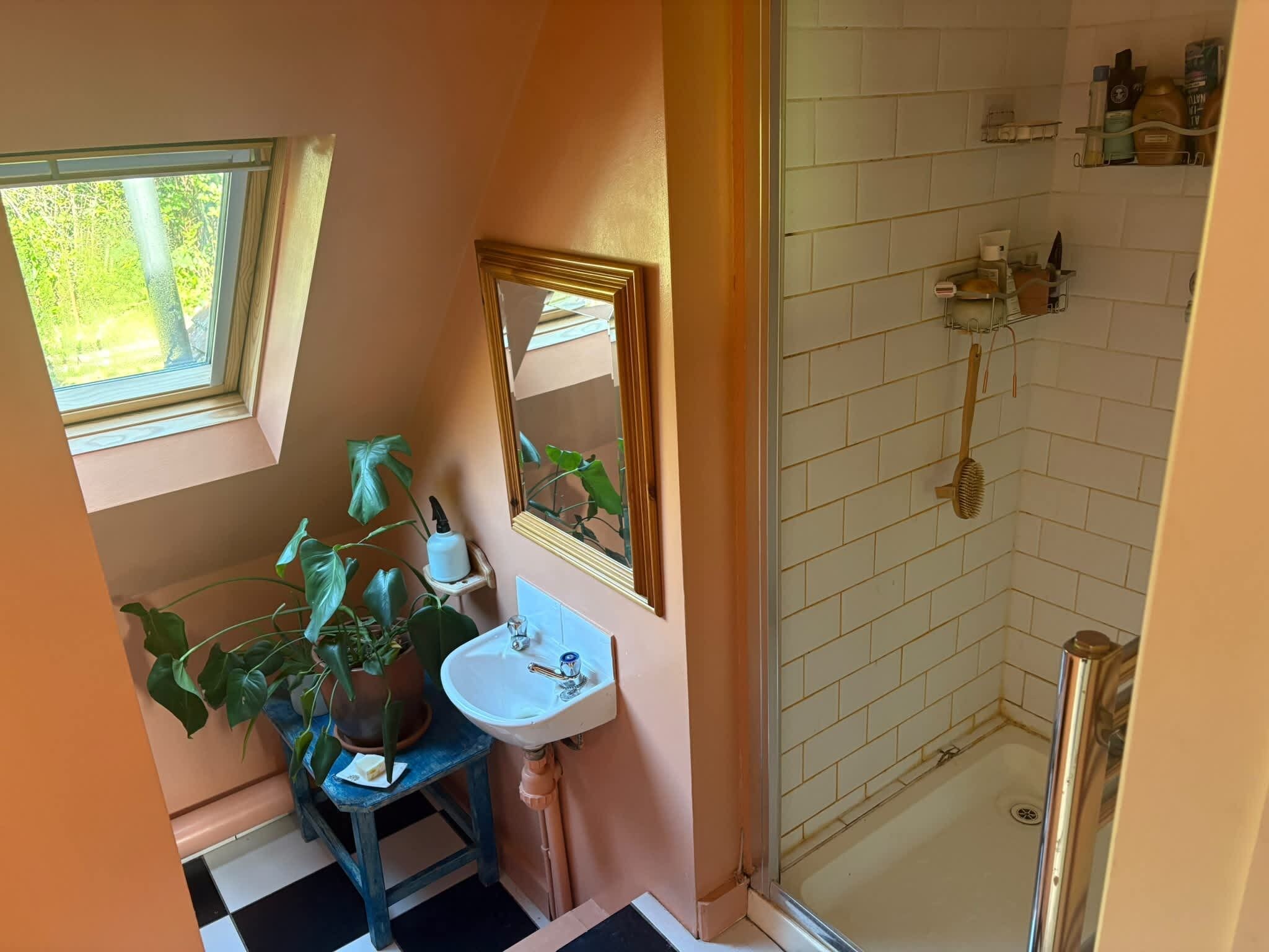 Un bagno con lavandino, specchio, una pianta in vaso e doccia.
