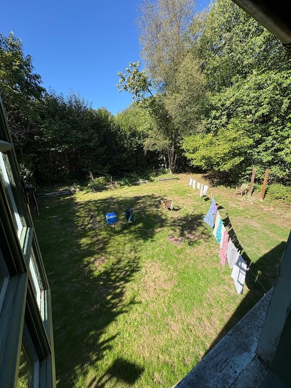 A grassy yard with a clothesline, a blue cooler, and a wooden chair.