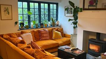 A living room with a sofa, a fireplace, and a window with plants.
