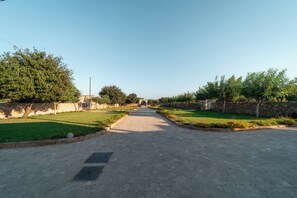 A paved pathway flanked by stone walls and greenery, leading to a distant archway.
