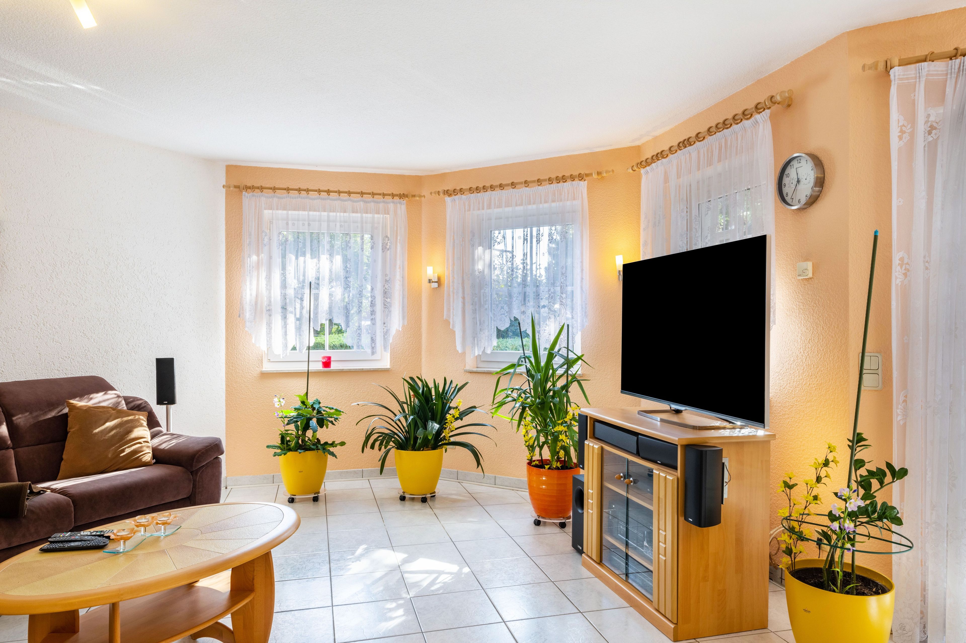 A living room with a sofa, a coffee table, a TV, and potted plants.