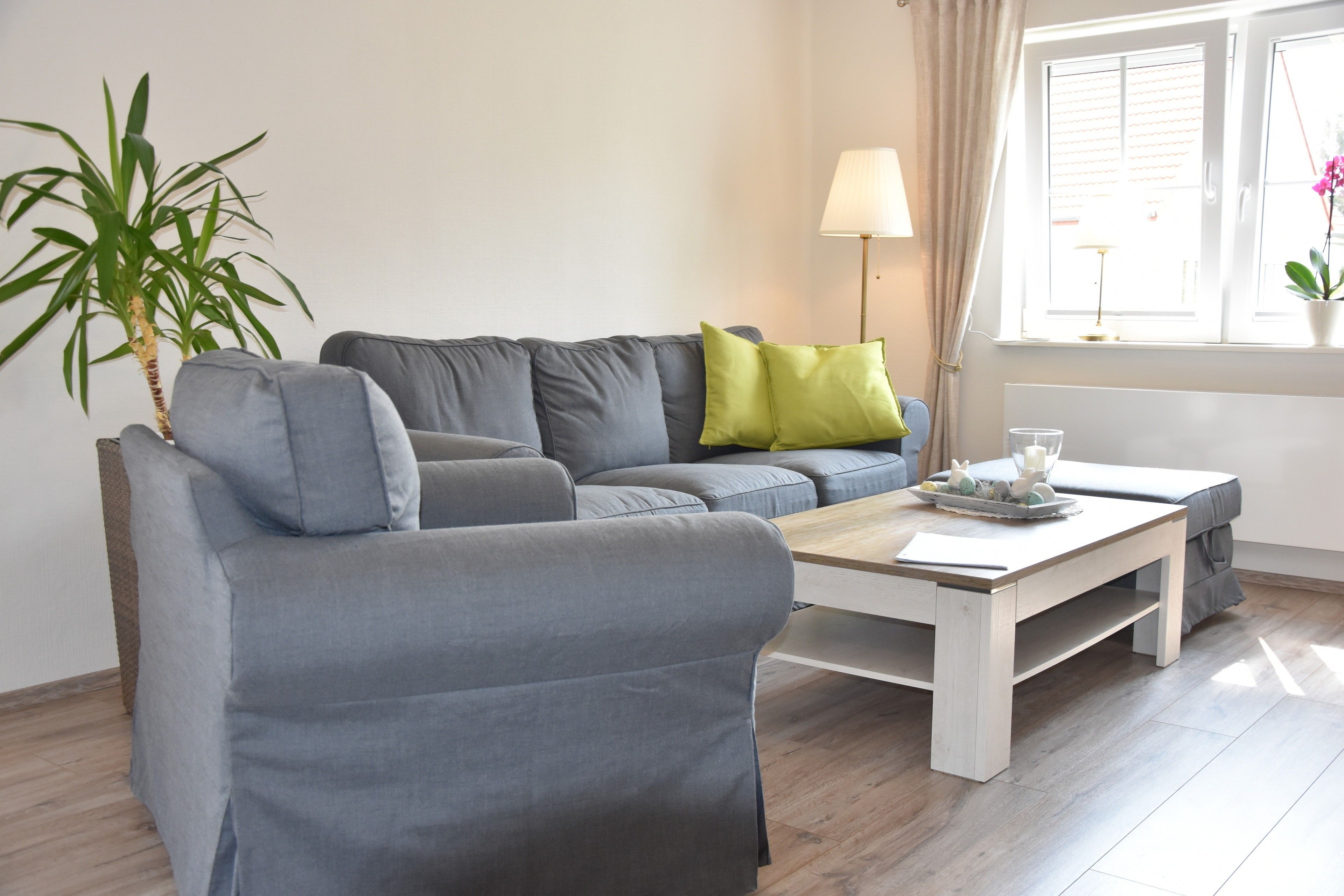 A modern living room with a grey sofa, a coffee table, and a potted plant.