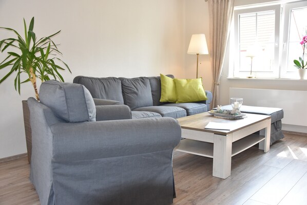 A modern living room with a grey sofa, a coffee table, and a potted plant.