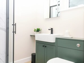 A bathroom with a glass shower door, a white sink, a green cabinet, a potted plant, and a mirror. - Little Folley (Exeter)
