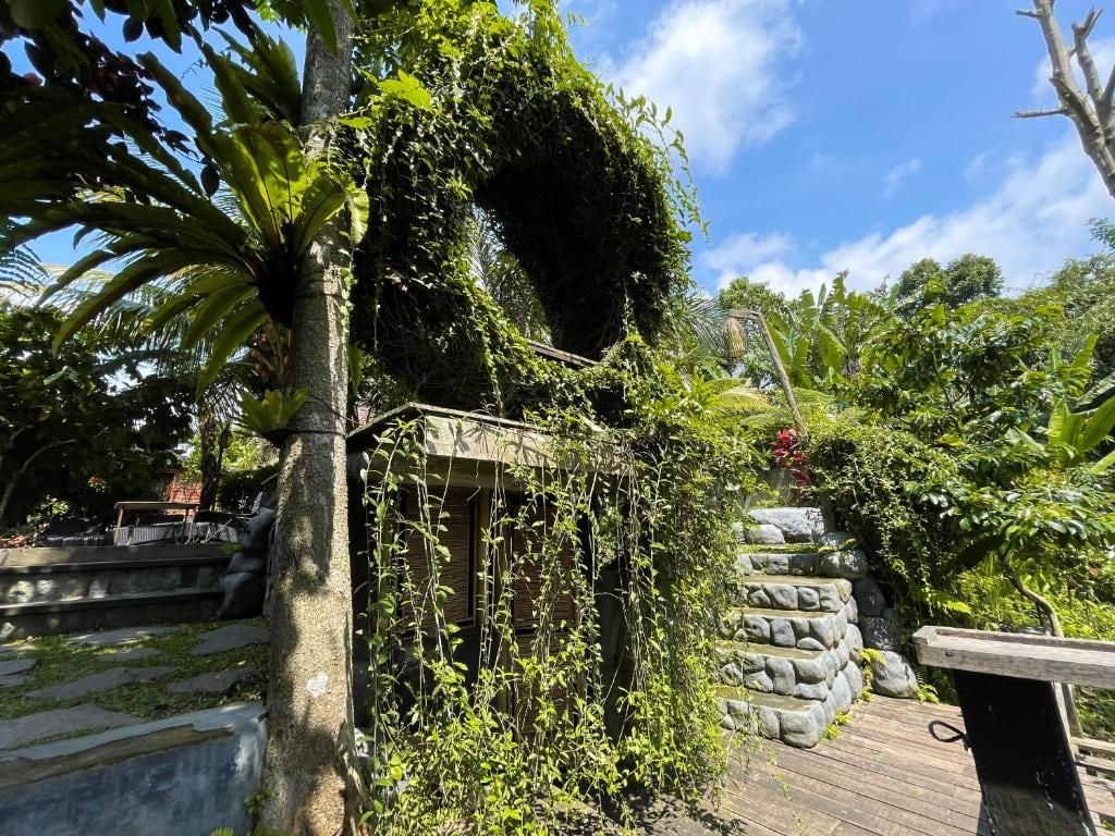 A stone staircase leading up to a wooden deck surrounded by lush greenery and a clear blue sky.