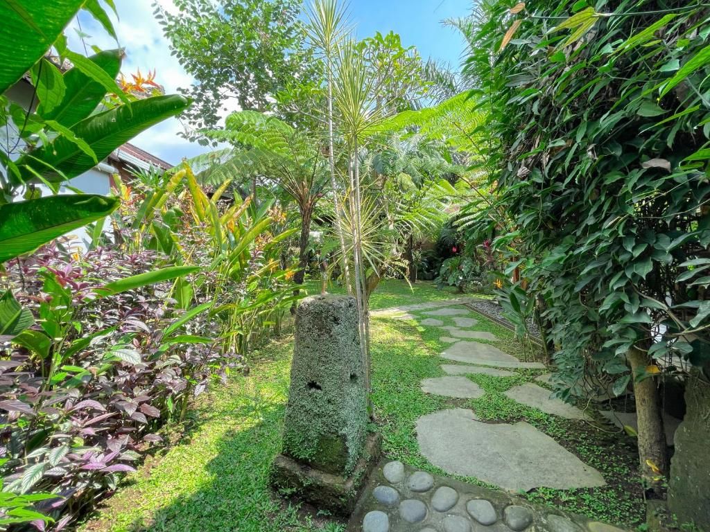 Un jardin avec un sentier en pierre, une végétation luxuriante et une grande variété de plantes.