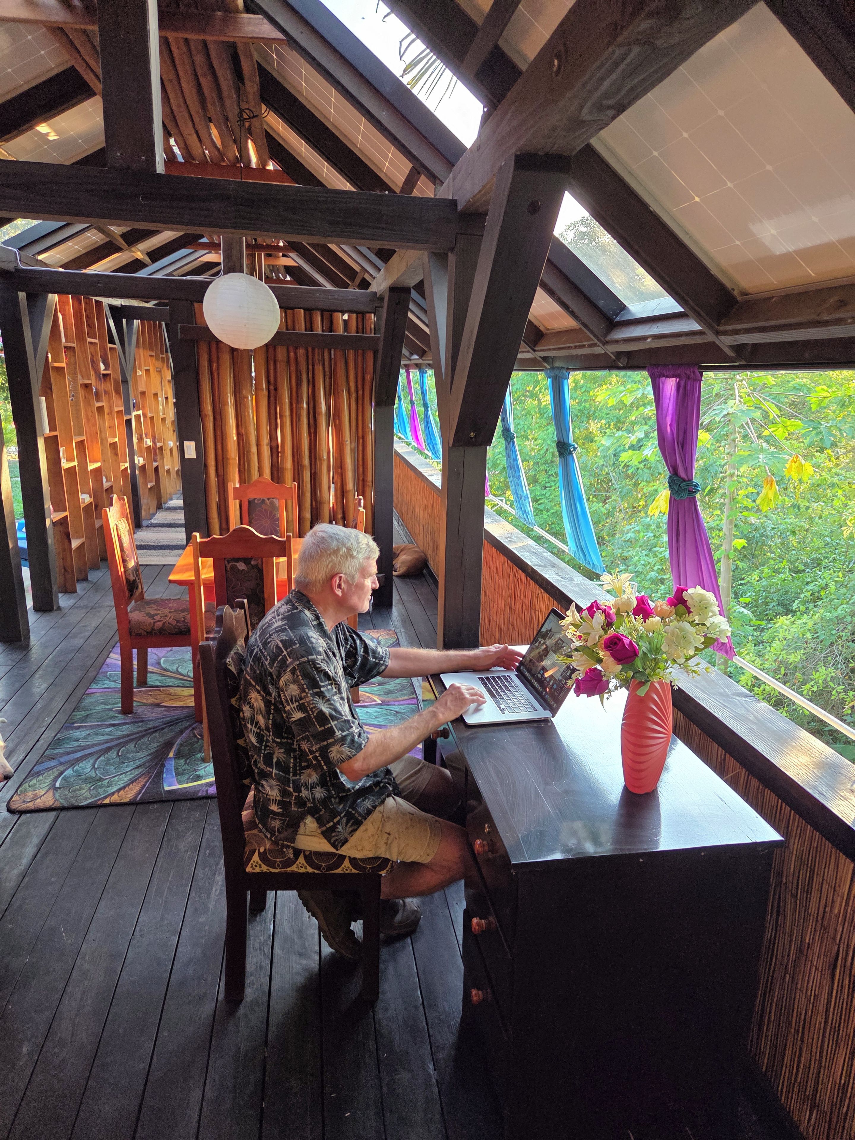 A man seated at a wooden table with a laptop, a vase of flowers, and a view of greenery through a window.