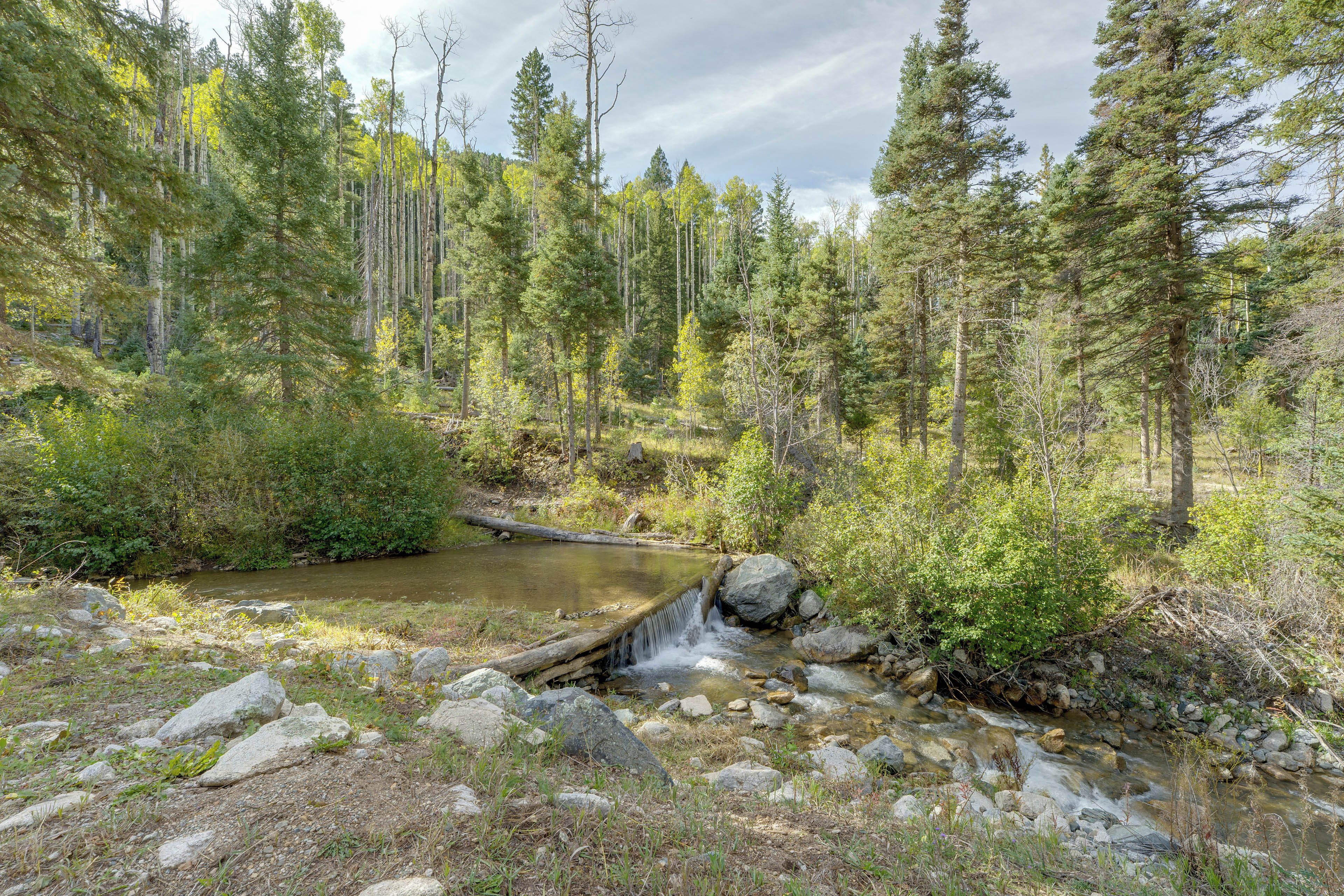 Zona boscosa con un arroyo pequeño y un puente de madera.