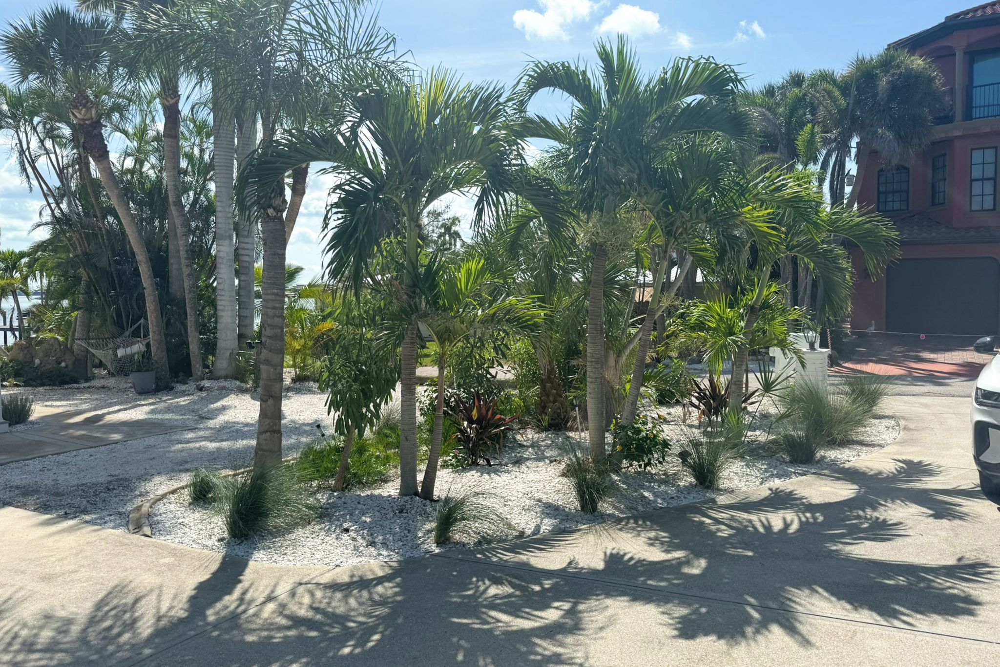 A residential area with palm trees, a concrete driveway, and a parked car.