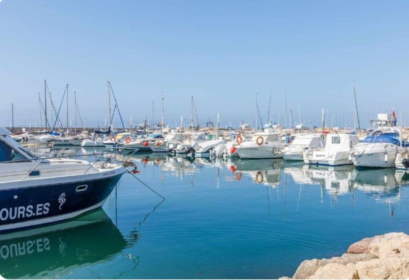 Un puerto deportivo con varias embarcaciones amarradas.