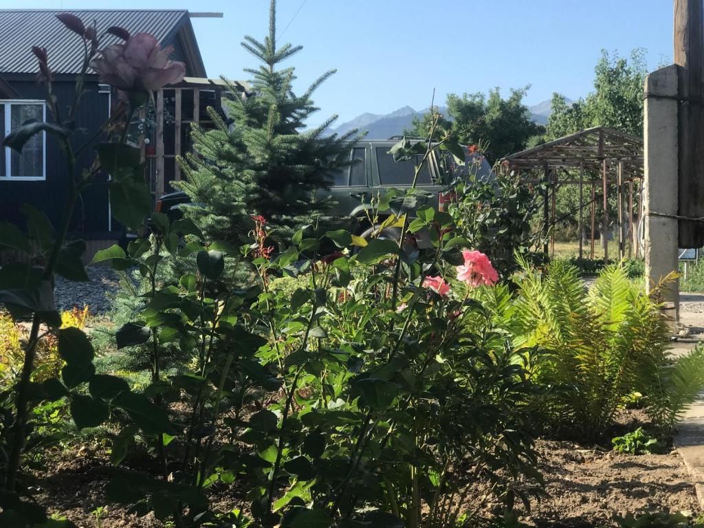 Un jardin avec différentes plantes et fleurs, une structure en bois et une maison en arrière-plan.