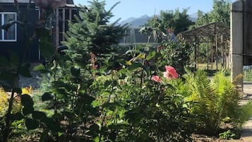 Un jardin avec différentes plantes et fleurs, une structure en bois et une maison en arrière-plan.