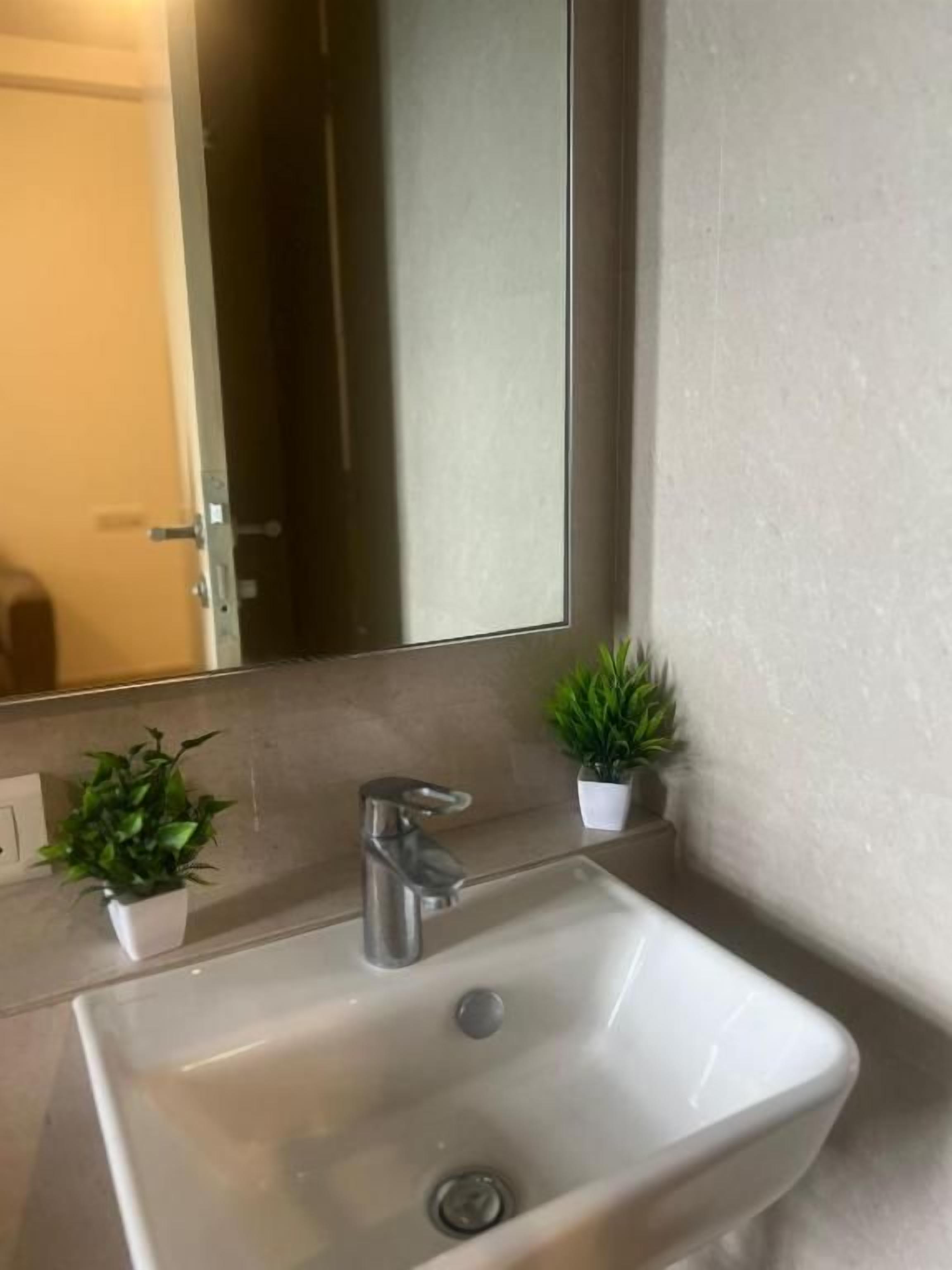 A bathroom with a white sink, a mirror, and two potted plants.