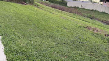 Uma área gramada com calçada, cerca e algumas árvores.