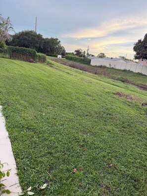 A grassy area with a sidewalk, a fence, and some trees.