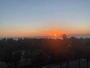Botó d’imatge sense classificar, 5 de 29