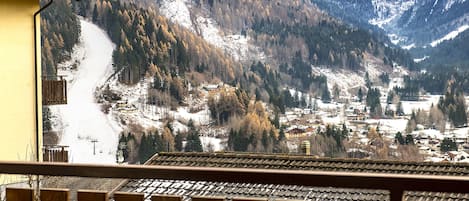 A mountain village with a snow-covered path leading up the slope, surrounded by dense forests and houses.
